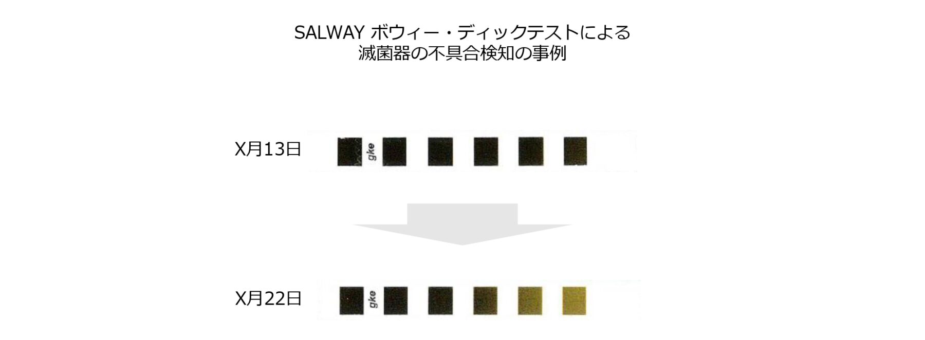 SALWAYボウィー・ディックテストによる滅菌器の不具合検知の事例