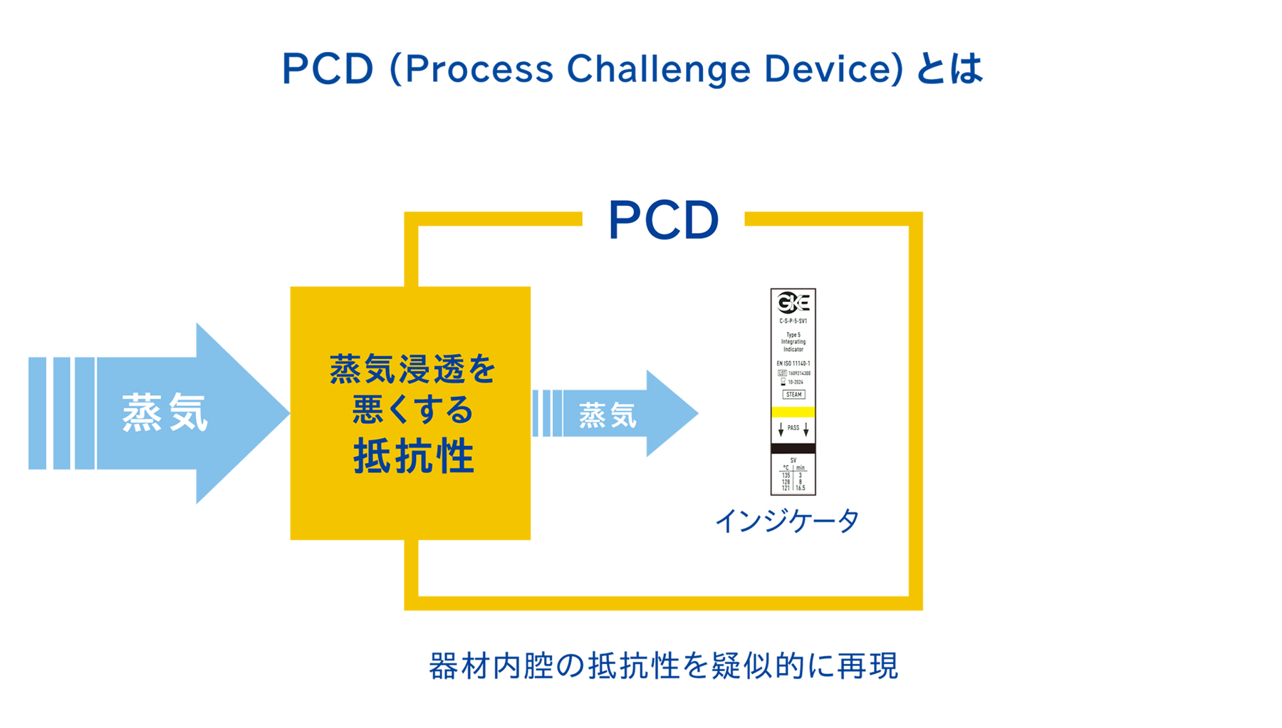 PCDとは-歯科