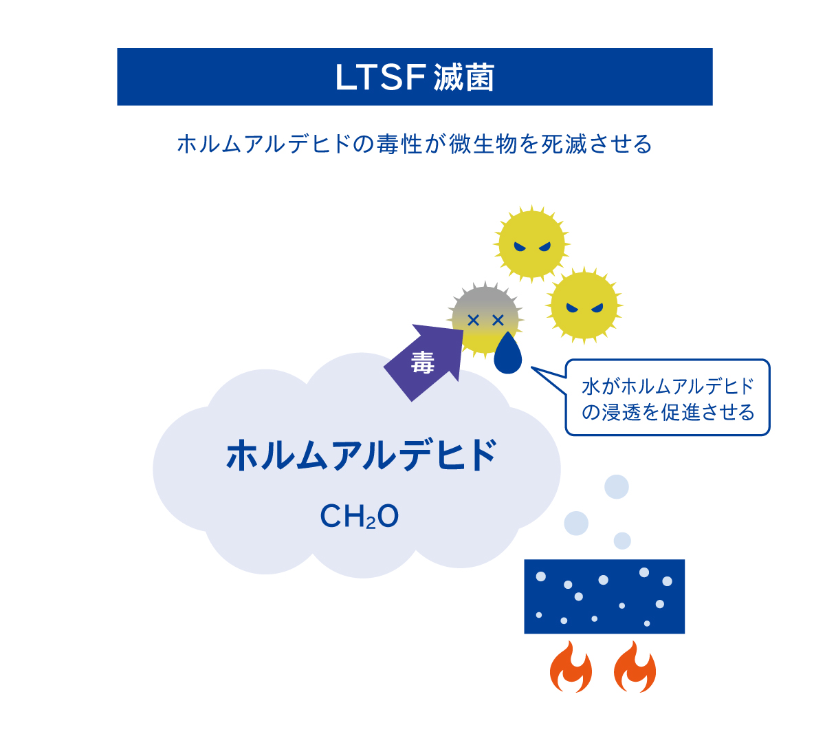 LTSF滅菌の図