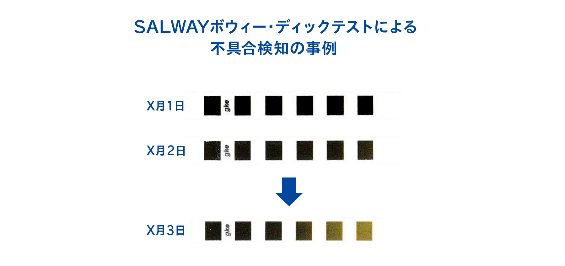 ボウィー・ディックテストとは？ガイドラインの記載内容や実施