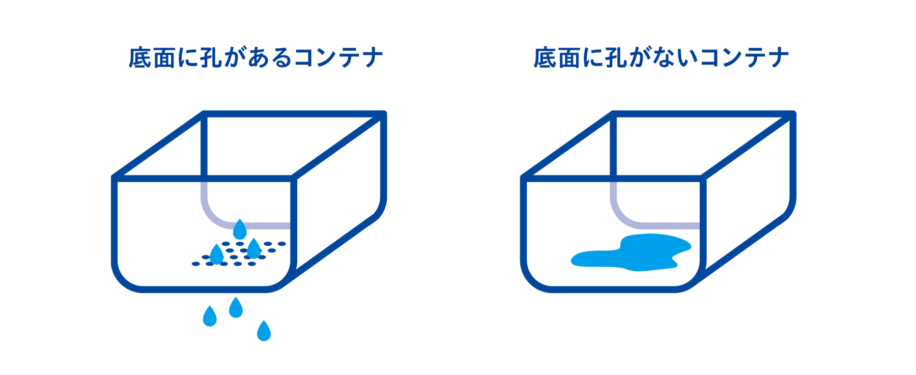 底面に孔があるコンテナは水が排出される