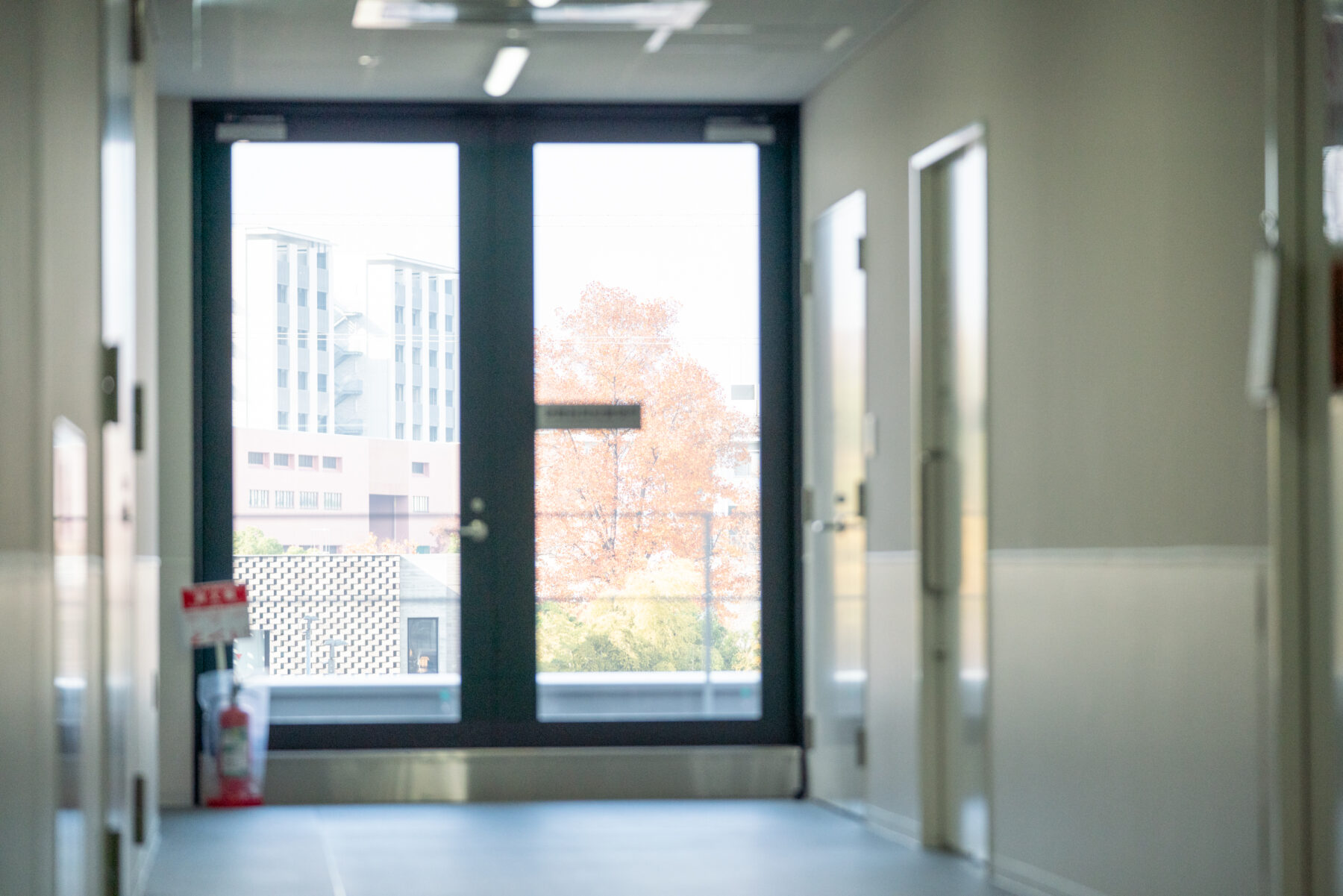 大阪大学医学部附属病院